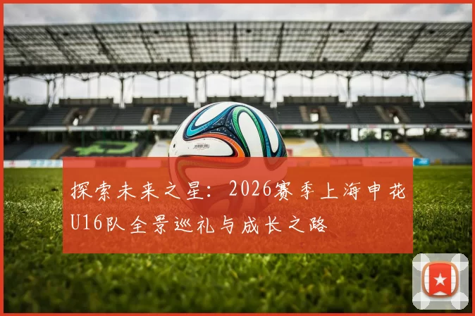 探索未来之星：2026赛季上海申花U16队全景巡礼与成长之路
